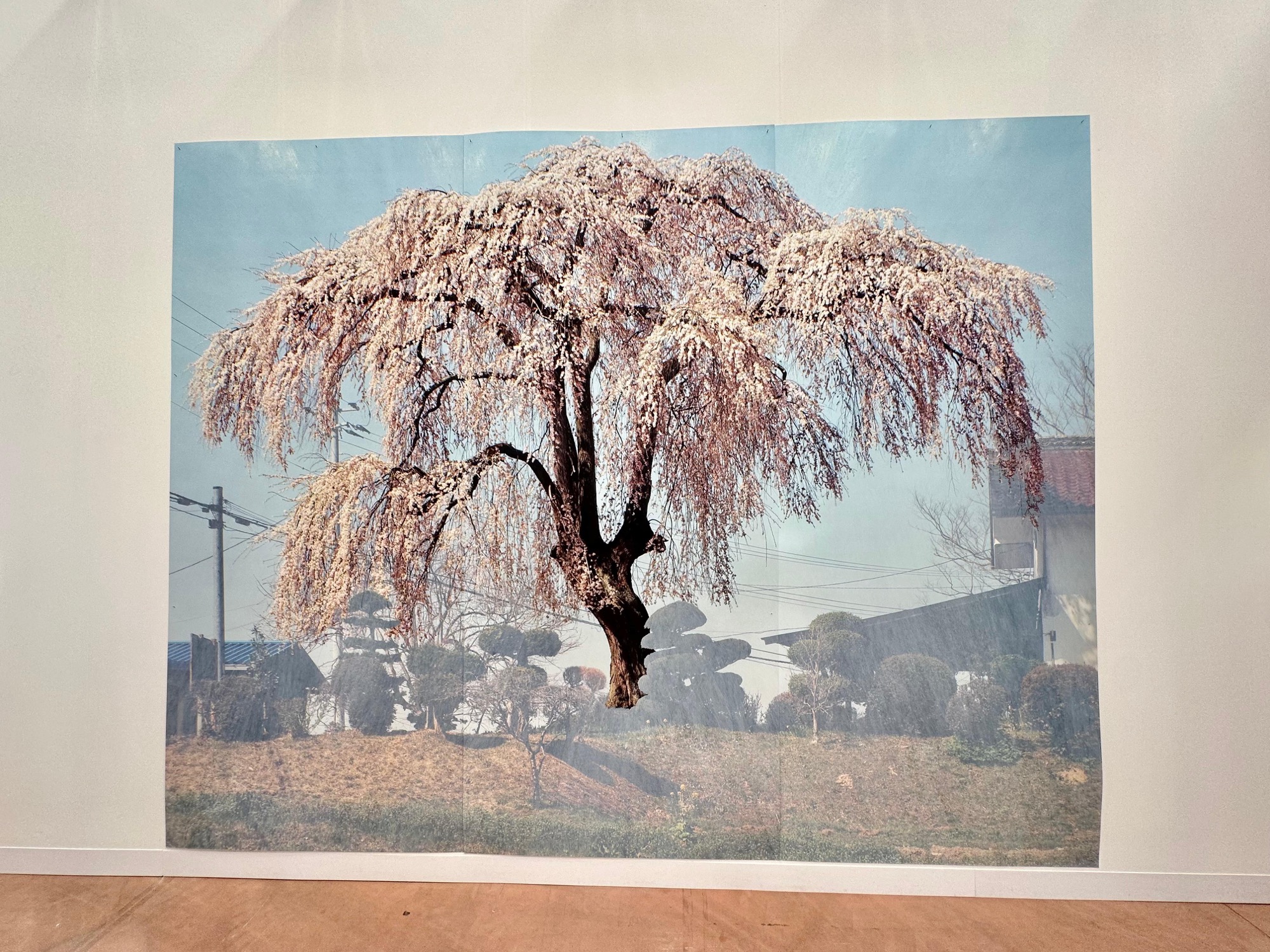 Art Basel Paris targi sztuki w Grand Palais