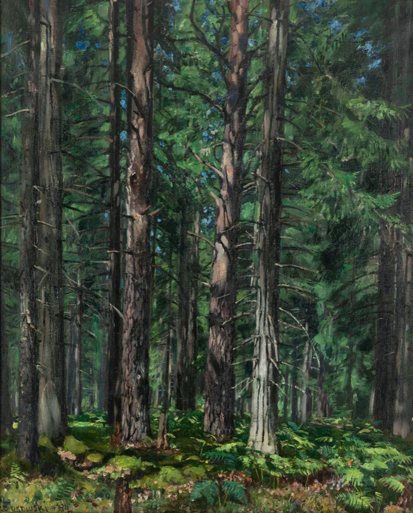 Stanisław ŻUKOWSKI (1873-1944), Puszcza Swisłocka, 1934 r.